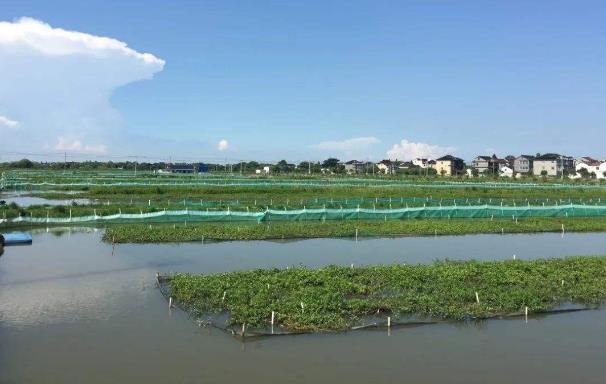 水产养殖企业该如何申请商标