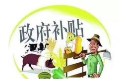 广州工商登记
郑州商标转让公司创新超越